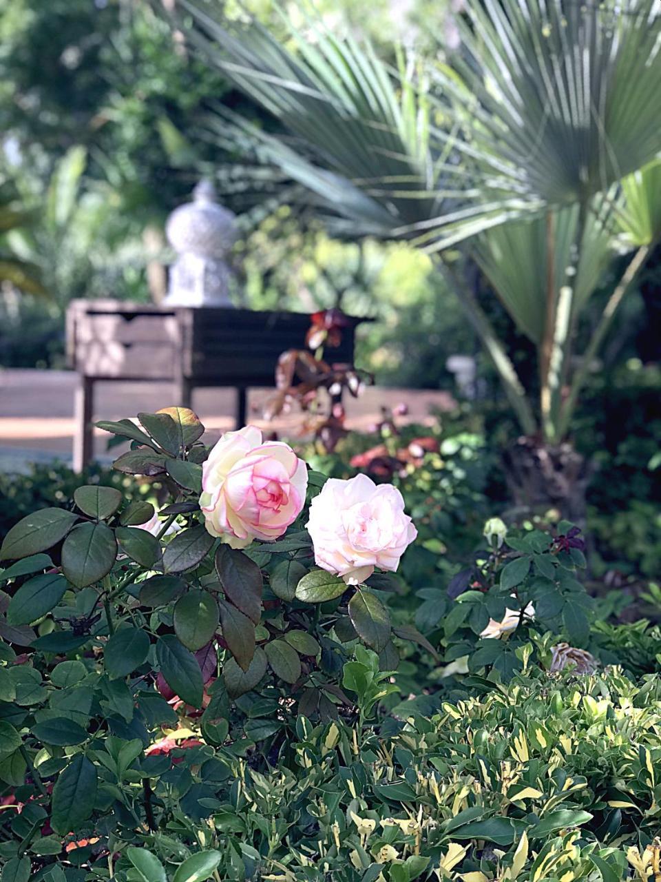 Villa Marrone - Relais - Marsala Zewnętrze zdjęcie